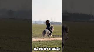 DJ PONY HORSE, DJ VIRAL TIKTOK NEW 2025@candumusikbaruchannel, #automobile