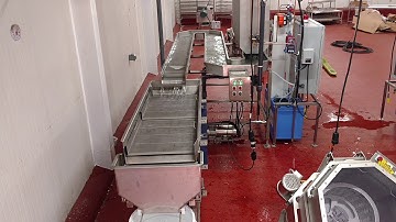 Modular Flume - Hi-Standard Machine