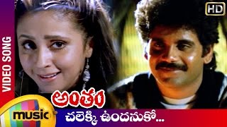 Antham Telugu Movie Songs | Chalekki Undanuko Video Song | Nagarjuna | Urmila | RGV | Mango Music