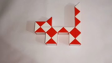 Make a Cat 🐈 with Snake Puzzle 24 pieces