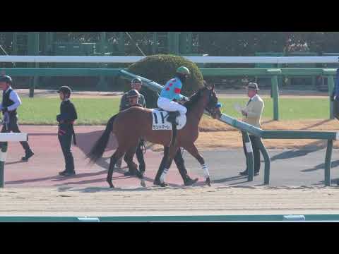 フェアリーライク 3歳未勝利 - YouTube