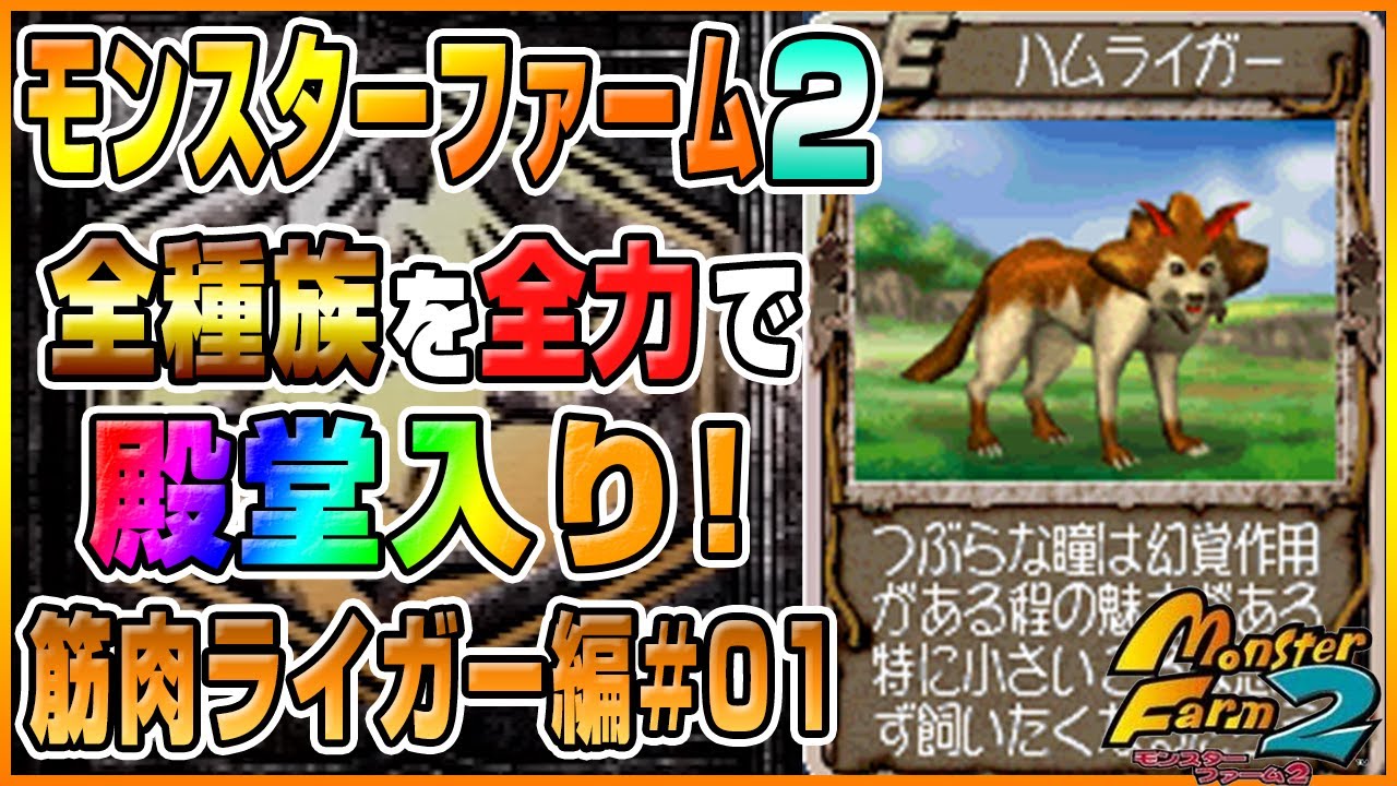 Mf2 実況 全種族全力で殿堂入りに挑戦する 筋肉ライガー編01 モンスターファーム2 Part267 Youtube Mf2 実況 全種族全力で殿堂入りに挑戦する 筋肉ライガー編01 モンスターファーム2 Part267 Youtube