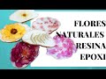 Portavasos con FLORES NATURALES// Encapsulados // RESIN COASTERS