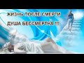 Жизнь после смерти.  Душа по ту сторону земной жизни.  Путь в вечность.