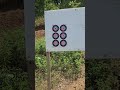First shots on my Savage Mark 2 FV-SR chambered in .22LR #savage #athlon #rifle #22lr