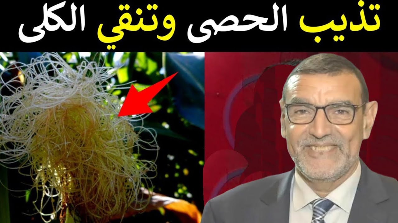 الدكتور محمد الفايد هبة ربانية تذيب الحصى وتنقي الكلي والمرارة