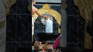 shiva abhishekam shortsshortsfeedcanada