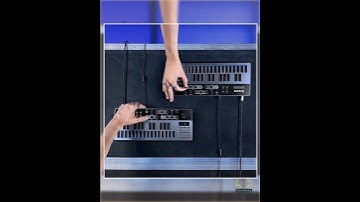 Donner B1 Analog Bass Synthesizer – Sequencer, Beat Maker & MIDI Controller for Live Performances