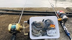 タビカツリチャンネル Youtube タビカツリチャンネル Youtube