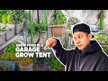 Ep2 gardening inside a garage grow tent  grow food in winter