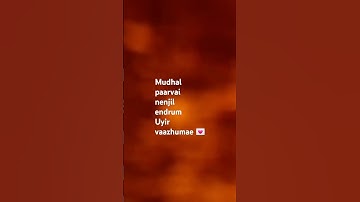 #love_status 💌 | bgm🎈