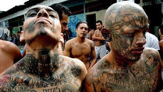 The 10 Most Dangerous Street Gangs in the World!