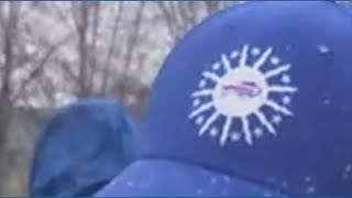 Update On Animal Shelter