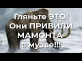 Гляньте это! Они поставили вакцину МАМОНТУ в МУЗЕЕ))