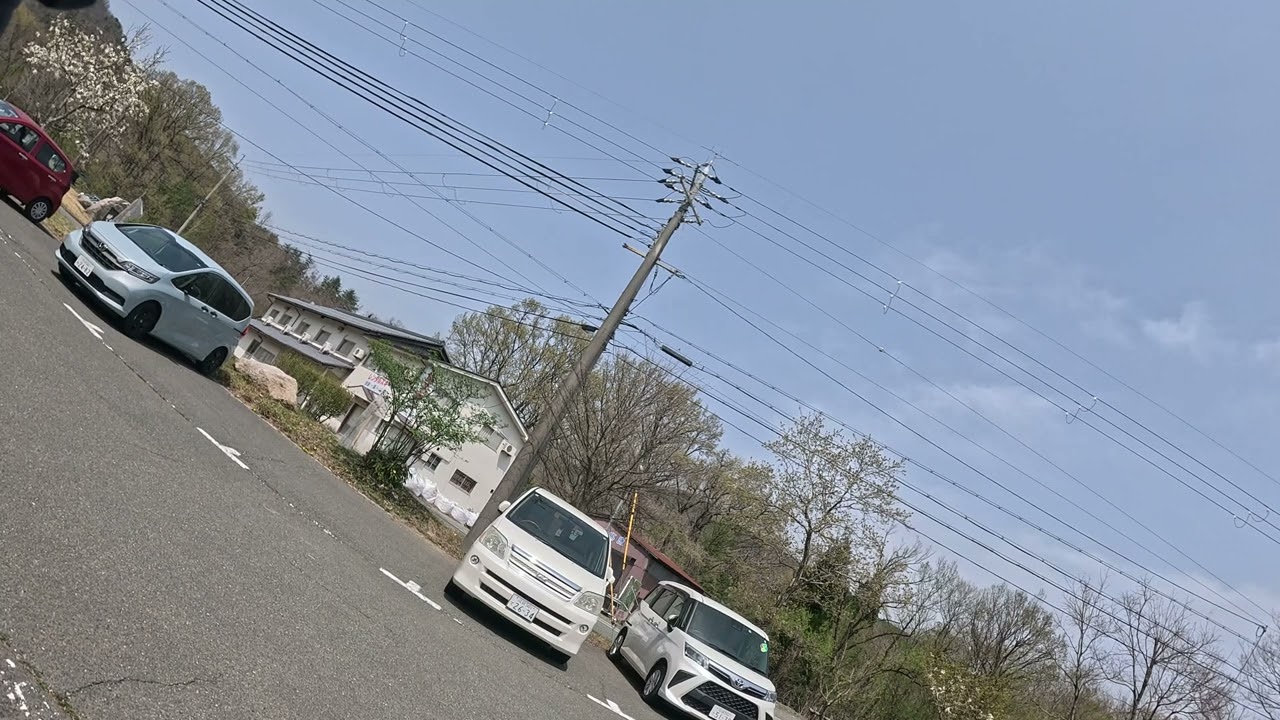 メタセコイヤ並木通過後に立ちゴケで骨折した瞬間。