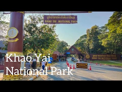 Khao Yai National Park//Atta Hotel