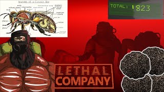 how to steal beehives and master hiverunning | lethal company screenshot 5