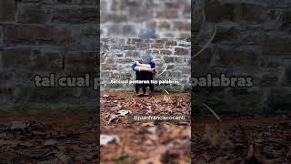Poemas de Amor   Juan Francisco Centi Cabrera. #Balada en español, #Canción, #Pop Melódico, #Desamor
