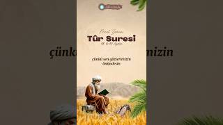 Tur suresi 48/49