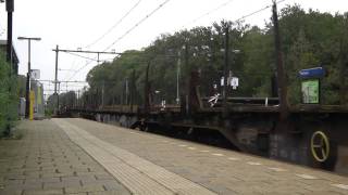 20101007 Wolfheze 1343-1511