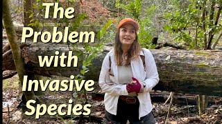 The Problem with Invasive Species Florida S Problem With Invasive Species