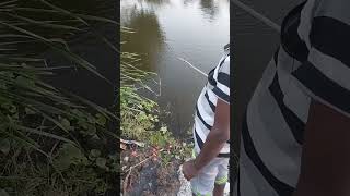 Gj Fishing 1