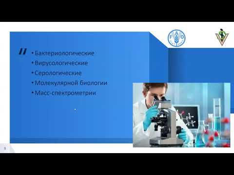 1. Лабораторная диагностика инфекционных болезней