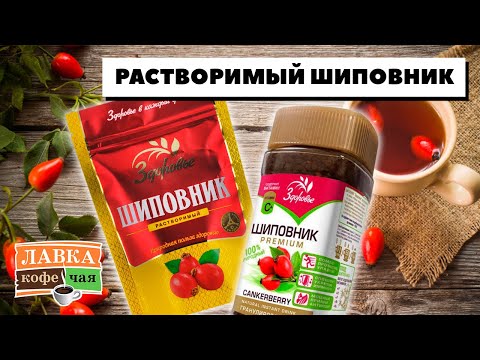 Растворимый Шиповник, есть ли польза? В чём отличие порошкообразного напитка от ягодного настоя.