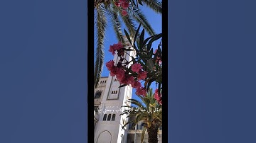 سورة مريم #اكسبلور #المصحف #القرآن_الكريم #لايك #حالات_واتس