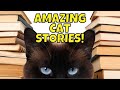 A cat accurately predicted up to 100 deaths  8 true cat stories