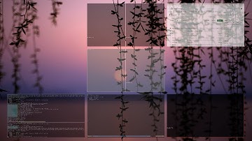 Skippy-xd and tiling managers