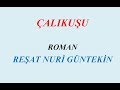 ÇALIKUŞU, ROMAN, ÖZET