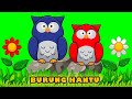 BURUNG HANTU (Matahari Tenggelam) | Animasi Hewan Lucu | Lagu Anak dan Balita Populer | Kancaku