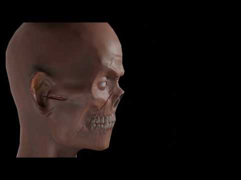 Monster 3D concept | Blender | Substance Painter