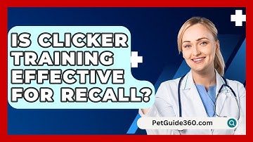 Is Clicker Training Effective For Recall? - PetGuide360.com