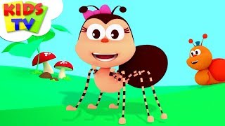 the little spider incy wincy spider music for babies cartoons songs by kids tv