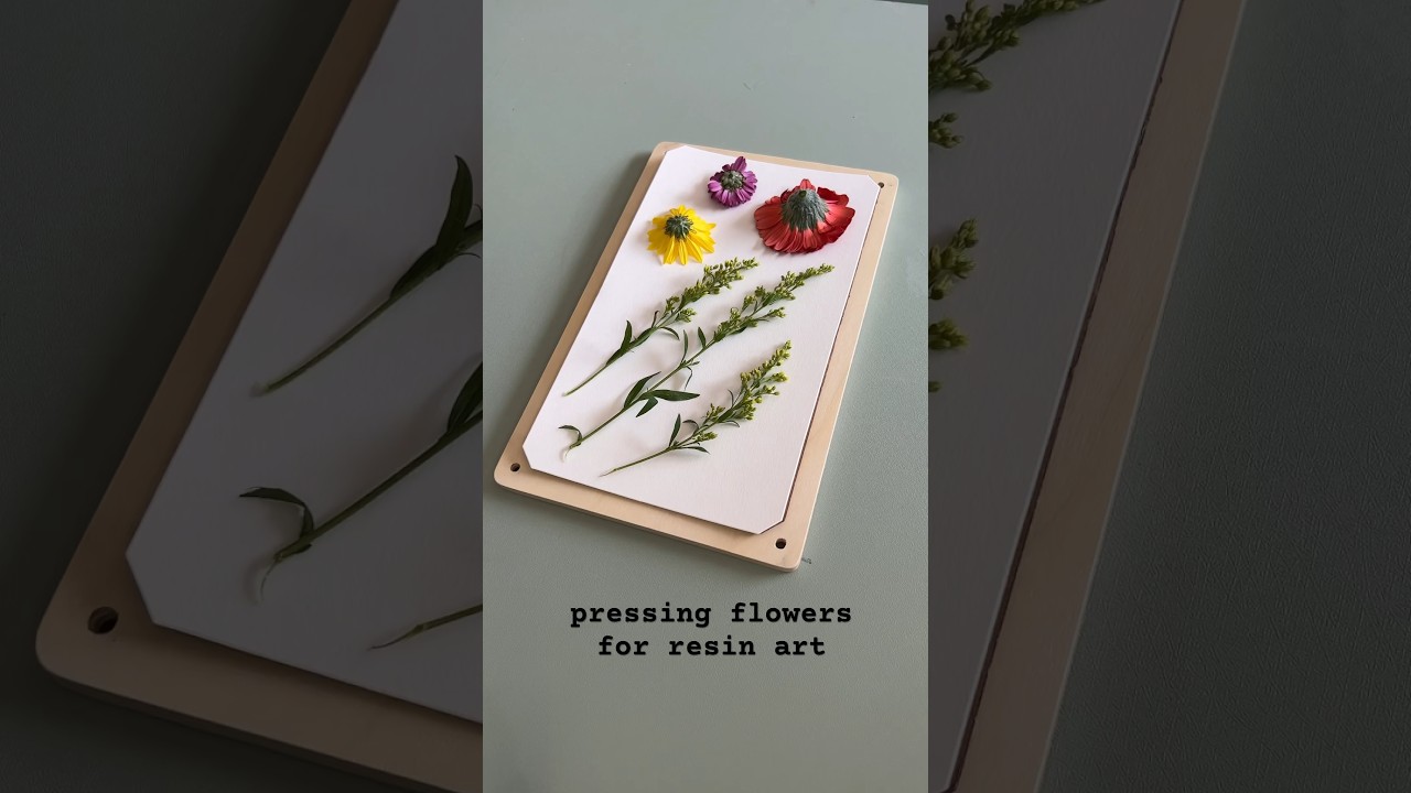 🌸Pressing Flowers for Resin Art🌹 