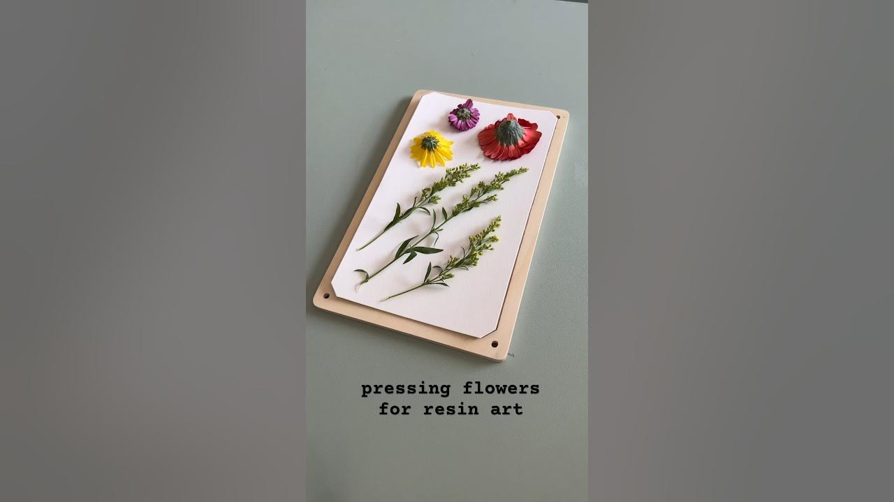 🌸Pressing Flowers for Resin Art🌹 