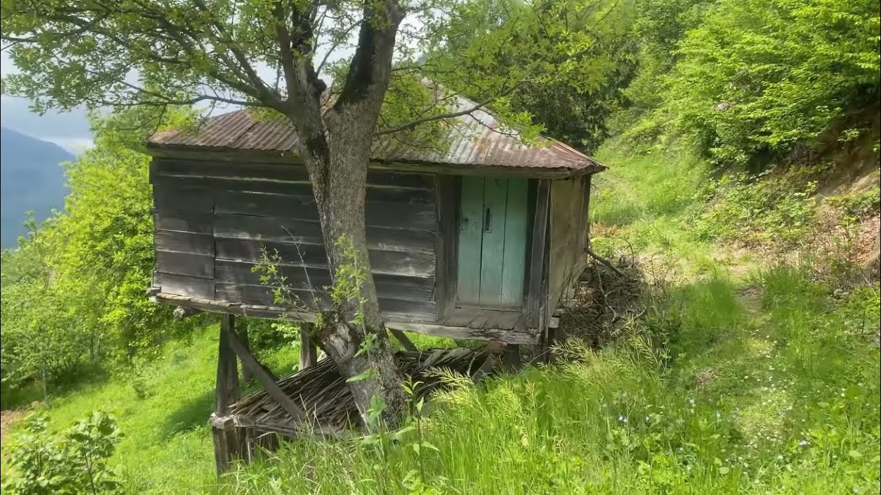 giresun karşılaması 2025