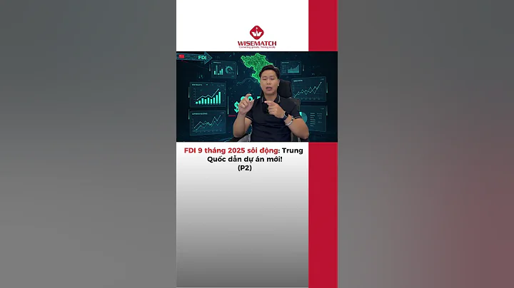 FDI 9 tháng 2025 sôi động: Trung Quốc dẫn dự án mới! (P2)