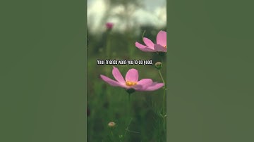 I’m 63  If You’re In Your 30s, Learn These 10 Life Lessons  Stoicism