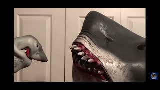 The meg puppet
