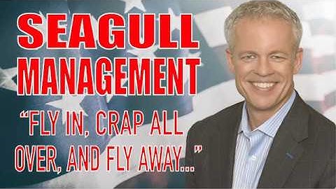 SEAGULL MANAGEMENT | Mike Paton