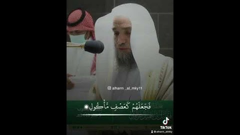 تلاوه هادئه للشيخ فيصل غزاوي
