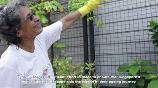 Active Ageing in Singapore