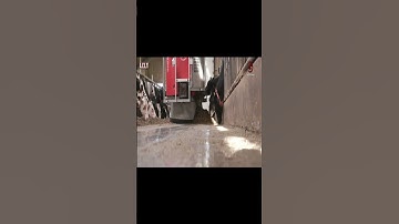 Pemberian pakan ternak menggunakan alat modern & canggih #Shorts