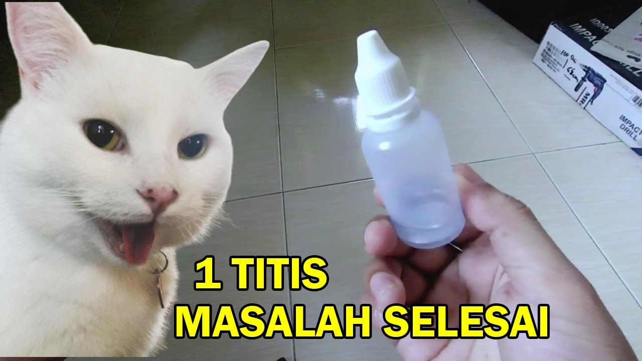 PIL SPORO, KURAP, FUNGUS, LUKALUKA, GATALGATAL (UBAT KUCING  cara