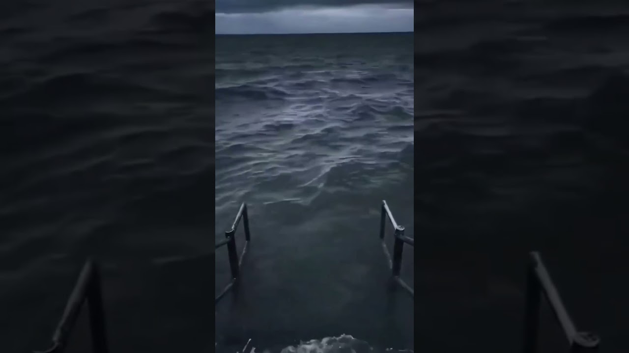 OCEAN RIVER MEME TEMPLATE 🥰||