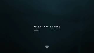 Video thumbnail of "Sleep Token - Missing Limbs (Visualiser)"