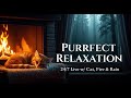 Live Stream: Ultimate Cozy Ambience - Sleeping Cat by the Fireplace & Rain Sounds